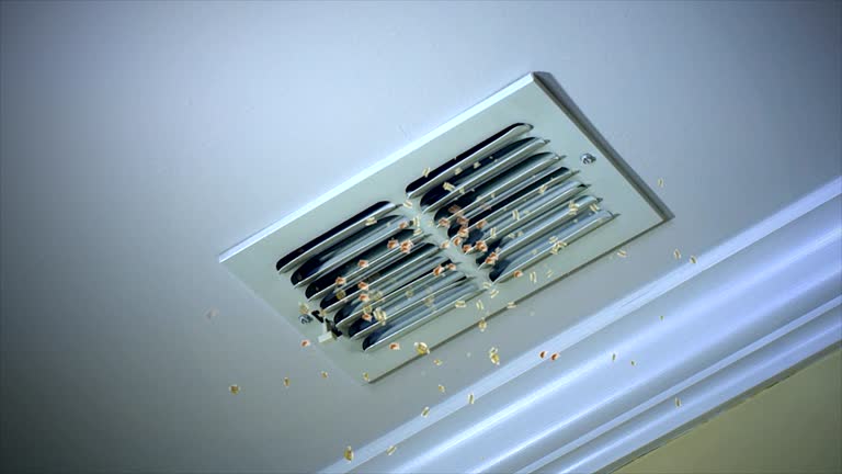 Best General Air Duct Cleaning  in Terre Hill, PA